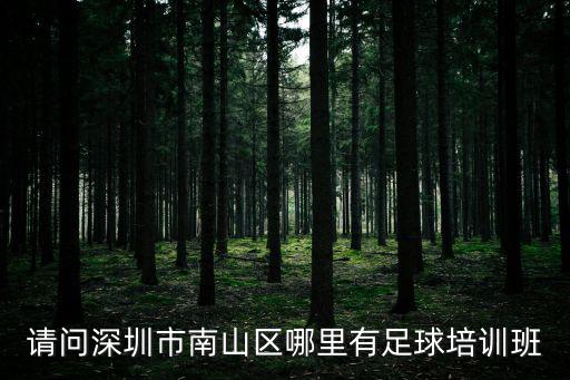 請問深圳市南山區哪里有足球培訓班