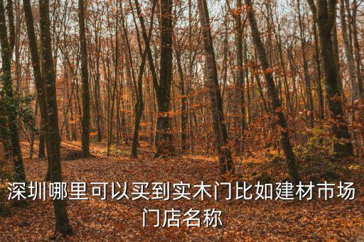 深圳哪里可以買到實木門比如建材市場門店名稱
