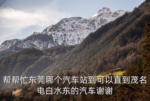 幫幫忙東莞哪個汽車站到可以直到茂名電白水東的汽車謝謝