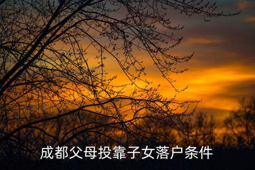 成都市投靠子女老人落戶政策，父母投靠子女落戶成都條件
