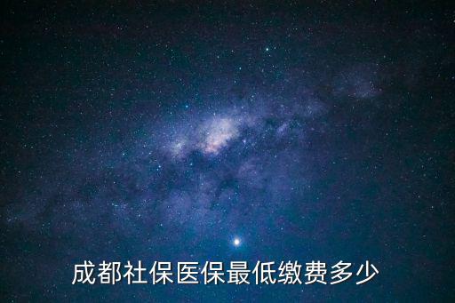 成都社保醫保最低繳費多少