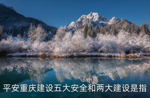 平安重慶建設五大安全和兩大建設是指