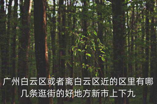 廣州白云區或者離白云區近的區里有哪幾條逛街的好地方新市上下九