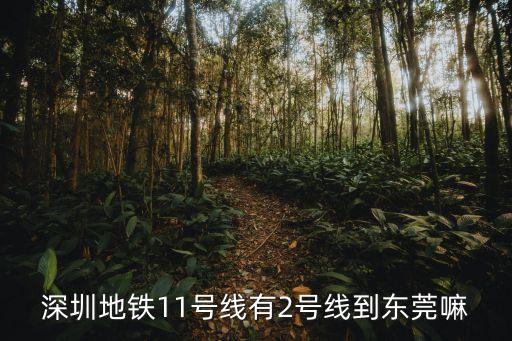 深圳地鐵11號線有2號線到東莞嘛