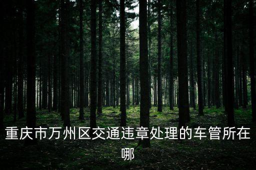 重慶市萬州區(qū)交通違章處理的車管所在哪