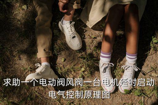 天津市北辰電動閥門控制電路圖，求助一個電動閥風閥一臺電機延時啟動電氣控制原理圖