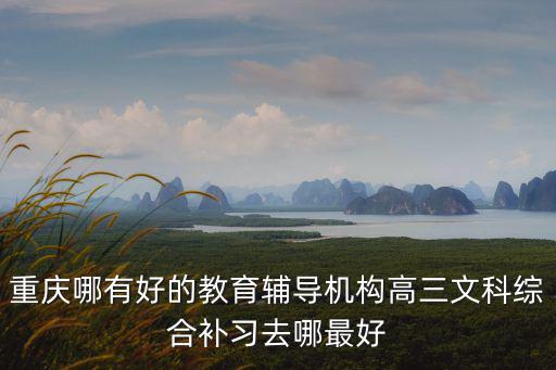 重慶市文綜，重慶有高中文綜輔導(dǎo)班嗎高三政史地一對(duì)一補(bǔ)課去哪好
