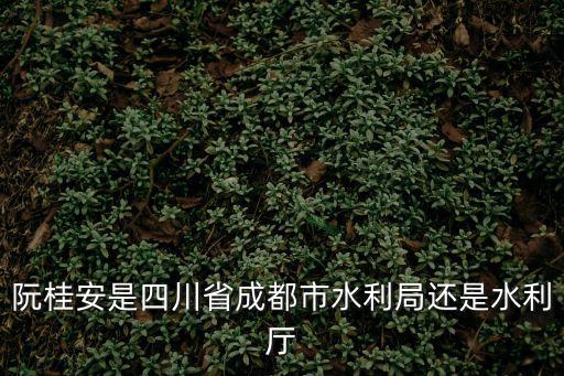 阮桂安是四川省成都市水利局還是水利廳