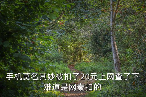 手機莫名其妙被扣了20元上網查了下難道是網秦扣的