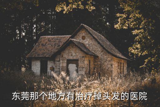 東莞那個地方有治療掉頭發(fā)的醫(yī)院
