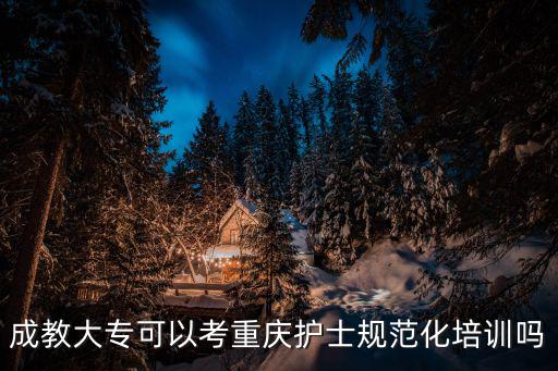 成教大專可以考重慶護士規范化培訓嗎