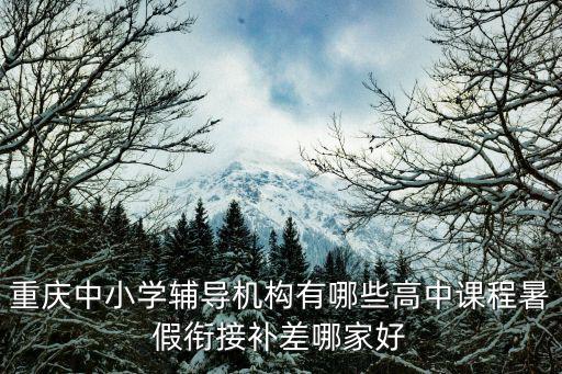 重慶中小學輔導機構有哪些高中課程暑假銜接補差哪家好