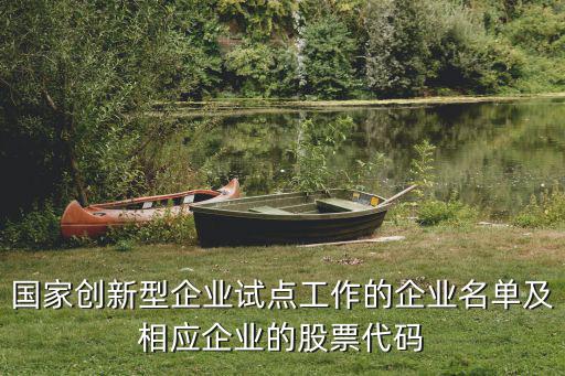 國家創新型企業試點工作的企業名單及相應企業的股票代碼