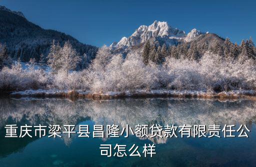 重慶市梁平縣昌隆小額貸款有限責(zé)任公司怎么樣