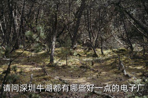 請問深圳牛湖都有哪些好一點的電子廠