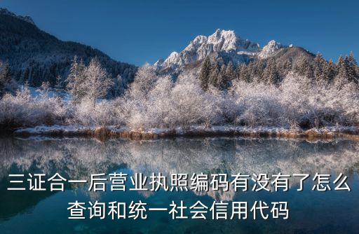 三證合一后營業執照編碼有沒有了怎么查詢和統一社會信用代碼
