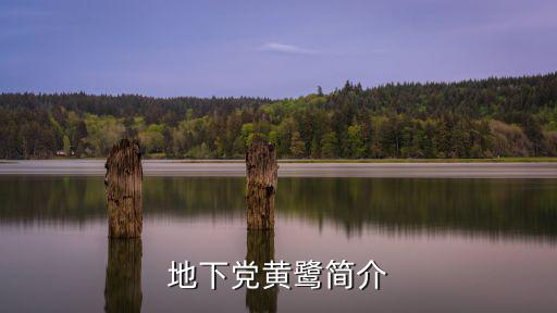 地下黨黃鷺簡介