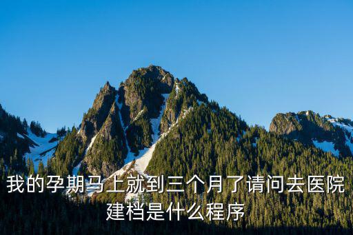 我的孕期馬上就到三個月了請問去醫院建檔是什么程序