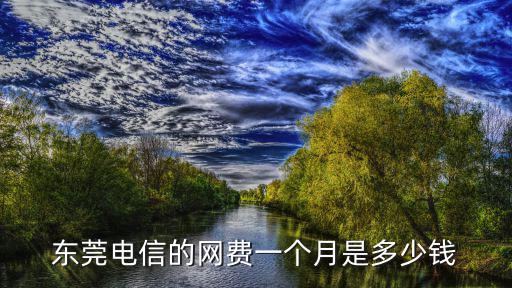 東莞電信的網(wǎng)費(fèi)一個(gè)月是多少錢