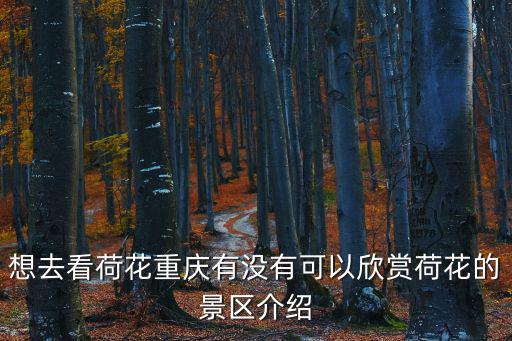 想去看荷花重慶有沒有可以欣賞荷花的景區介紹