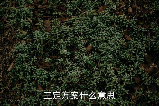 三定方案什么意思