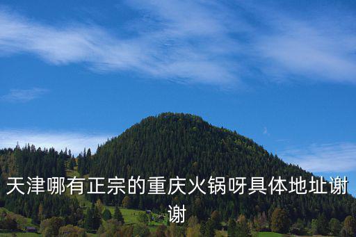 天津哪有正宗的重慶火鍋呀具體地址謝謝