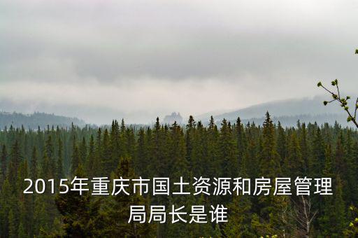 重慶市南川區(qū)紀檢委王偉，南川區(qū)規(guī)劃局人事結構簡介