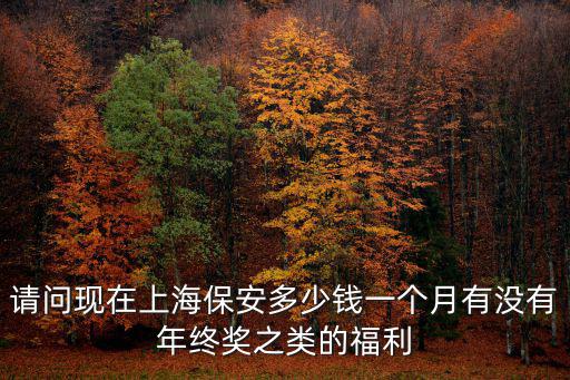 請問現在上海保安多少錢一個月有沒有年終獎之類的福利