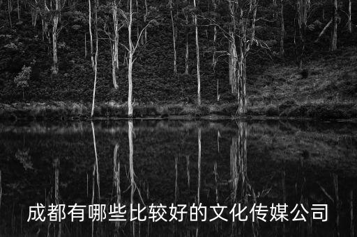 成都市賓主文化傳媒有，成都有哪些比較好的文化傳媒公司