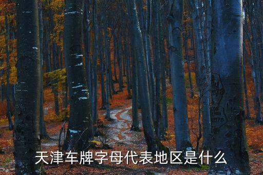 天津車牌字母代表地區是什么