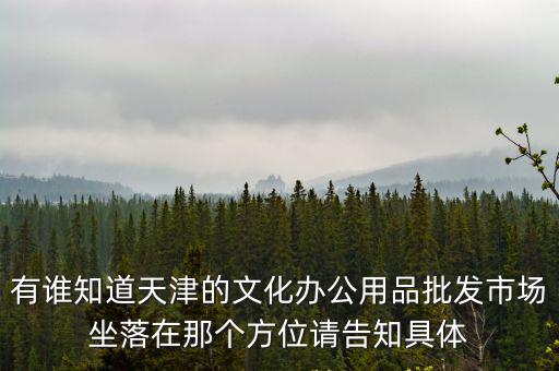 有誰知道天津的文化辦公用品批發市場坐落在那個方位請告知具體