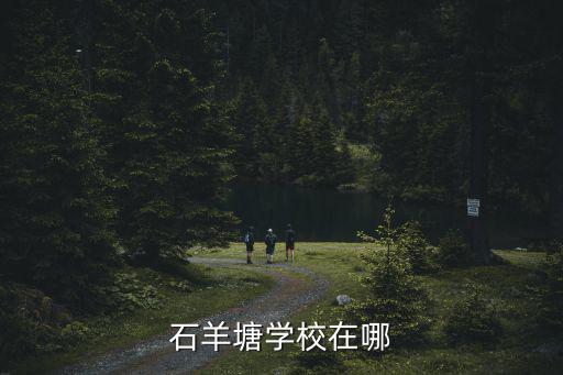 石羊塘學(xué)校在哪