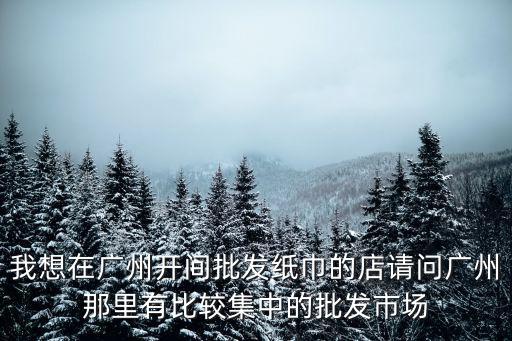 我想在廣州開間批發(fā)紙巾的店請問廣州那里有比較集中的批發(fā)市場