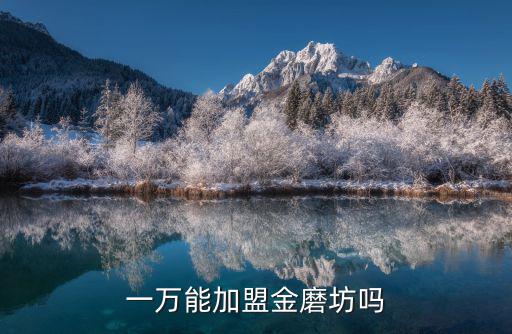 天津市金磨坊精制面粉，一萬能加盟金磨坊嗎