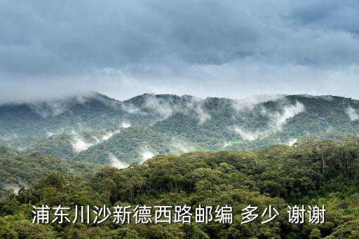 浦東川沙新德西路郵編 多少 謝謝