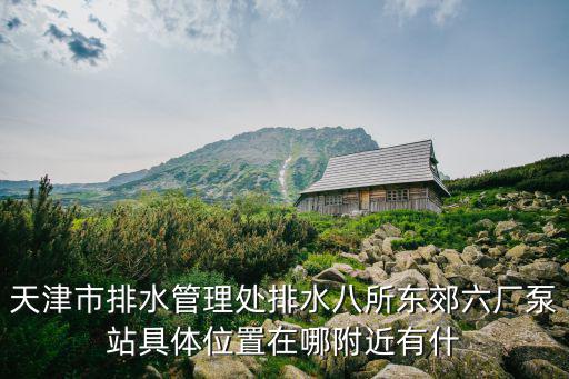 天津市排水管理處排水八所東郊六廠泵站具體位置在哪附近有什