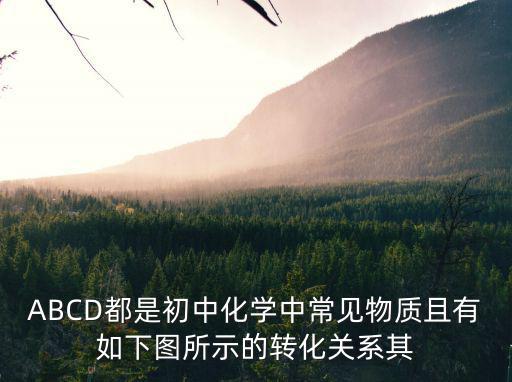 ABCD都是初中化學中常見物質且有如下圖所示的轉化關系其