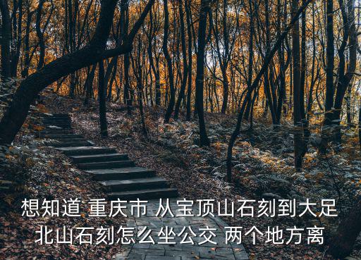 想知道 重慶市 從寶頂山石刻到大足北山石刻怎么坐公交 兩個地方離