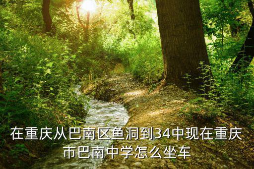 在重慶從巴南區(qū)魚洞到34中現(xiàn)在重慶市巴南中學(xué)怎么坐車