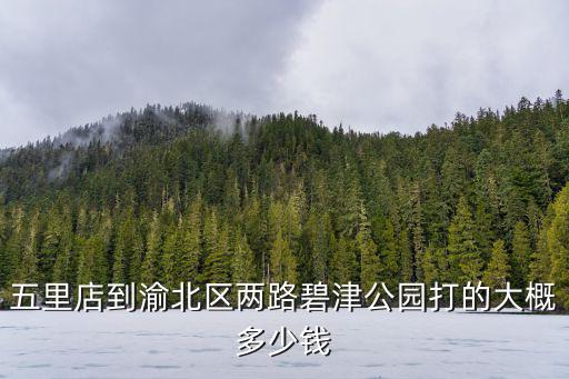 重慶市渝北區(qū)碧津公園女尸，五里店到渝北區(qū)兩路碧津公園打的大概多少錢