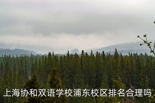 上海協和雙語學校浦東校區排名合理嗎