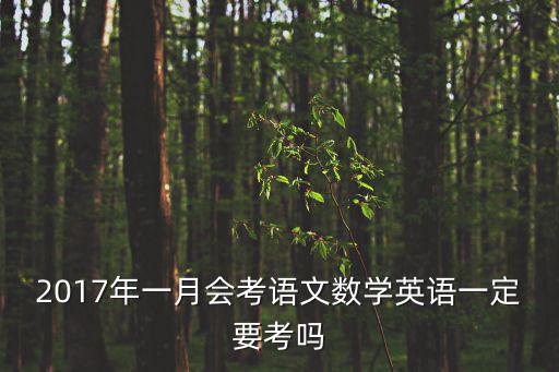 2017年一月會考語文數學英語一定要考嗎