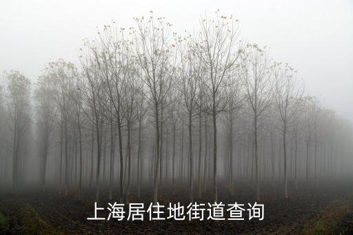 上海居住地街道查詢