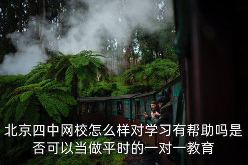 北京四中網校怎么樣對學習有幫助嗎是否可以當做平時的一對一教育