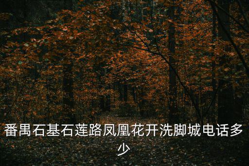 廣州國際元遠洗腳城，無錫哪有遠元洗腳店