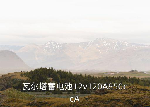 瓦爾塔蓄電池12v120A850ccA