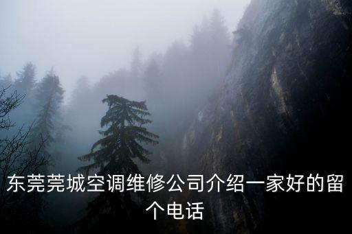 東莞松山湖附近有修空調(diào)的嗎，東莞莞城空調(diào)維修公司介紹一家好的留個電話