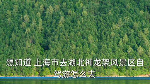 想知道 上海市去湖北神龍架風景區自駕游怎么去