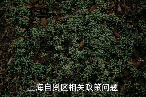 上海自貿區相關政策問題
