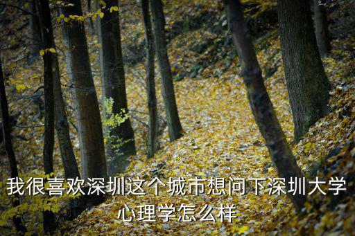 我很喜歡深圳這個城市想問下深圳大學心理學怎么樣